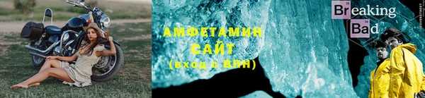 ГАЛЛЮЦИНОГЕННЫЕ ГРИБЫ Алзамай