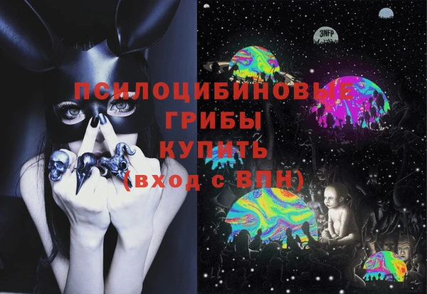 ГАЛЛЮЦИНОГЕННЫЕ ГРИБЫ Алзамай