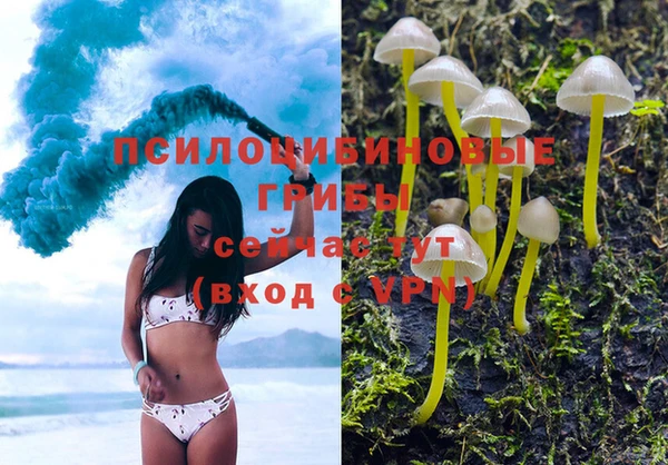 дмт Костерёво