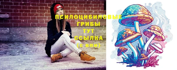 ГАЛЛЮЦИНОГЕННЫЕ ГРИБЫ Алзамай