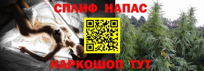 эйфоретик Туймазы