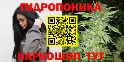 эйфоретик Туймазы