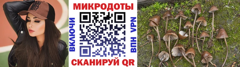 Галлюциногенные грибы MAGIC MUSHROOMS  ссылка на мегу ссылка  Самара  купить  