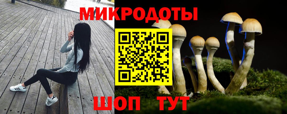 Самара  Галлюциногенные грибы MAGIC MUSHROOMS  Вход с VPN 